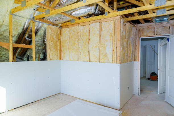 Best DIY Insulation Kits and Guidance in Spencer, IA